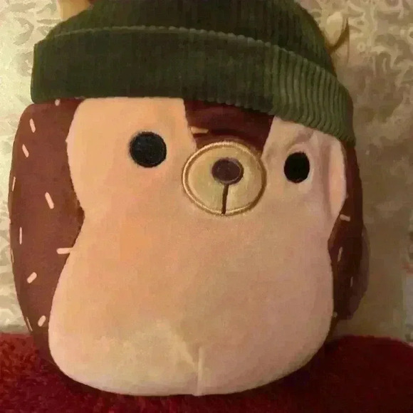 Squishmallow Rocky the Raccoon with sweater 8inch bundled with Hans Hedgehog - Picture 6 of 8